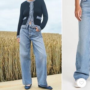 Agolde Low Slung Baggy Jean in Libertine
